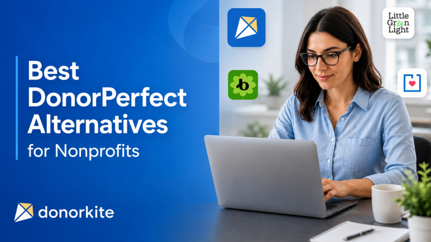 DonorPerfect Alternatives